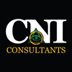 Cni Consultants Daniel Laneski