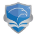 Falcon Network Services Llc
